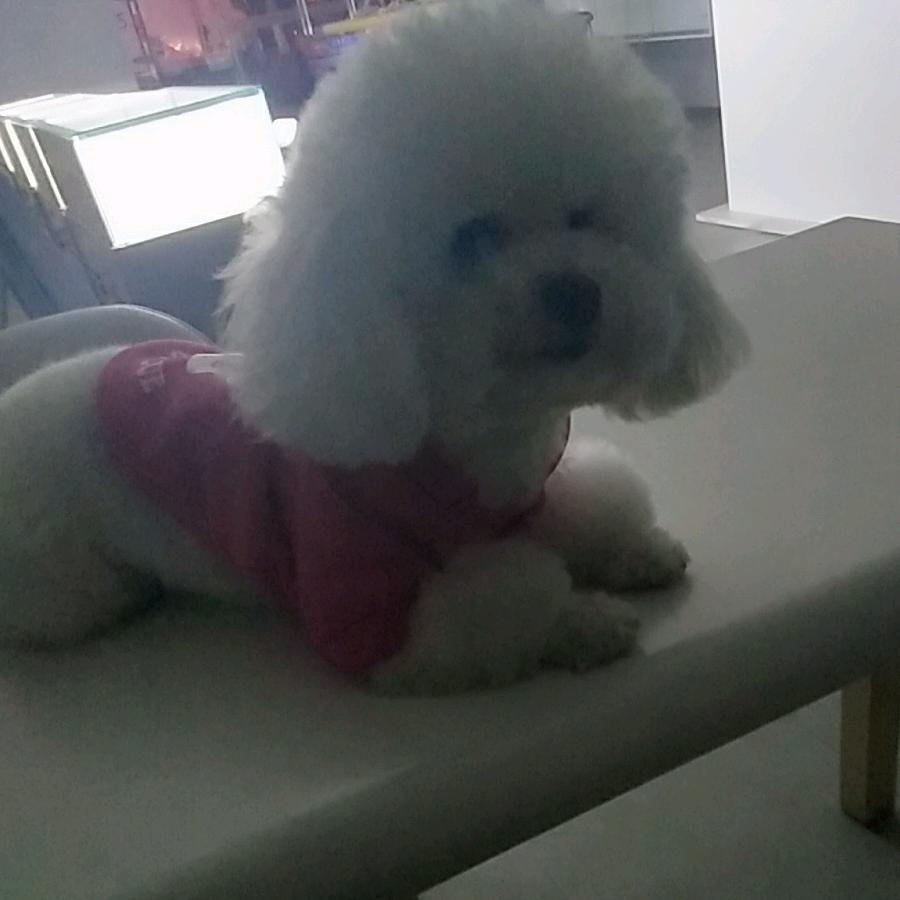 可爱殡仪一条龙服务