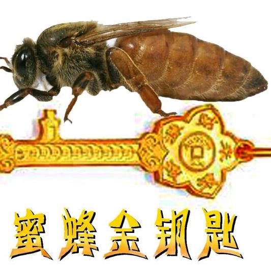 山西历山蜂蜜店