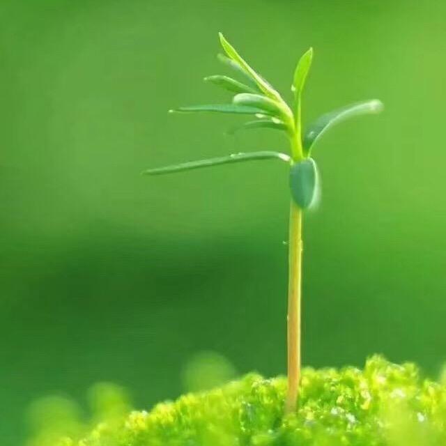 大连漫漫人生路1