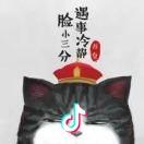 锦年