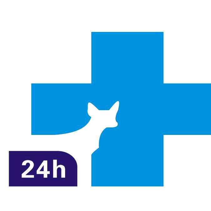 南部动物医院官方号