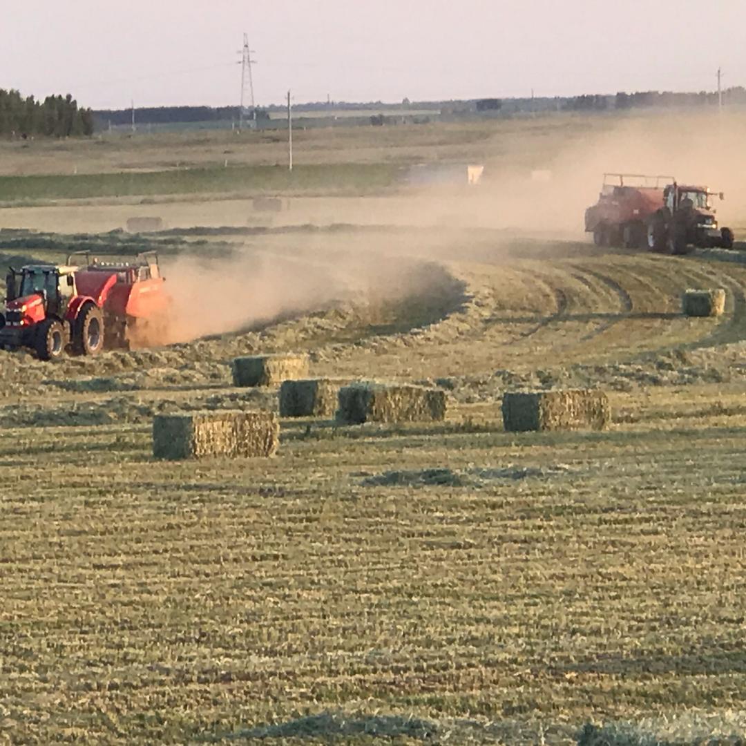 兄弟打包作业队