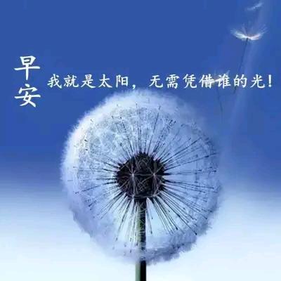 随你便