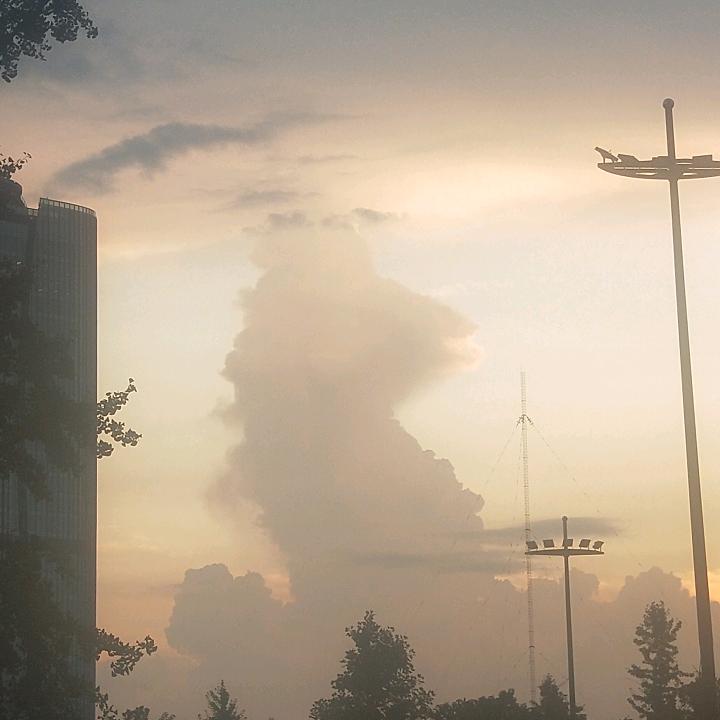 逗我玩的呢