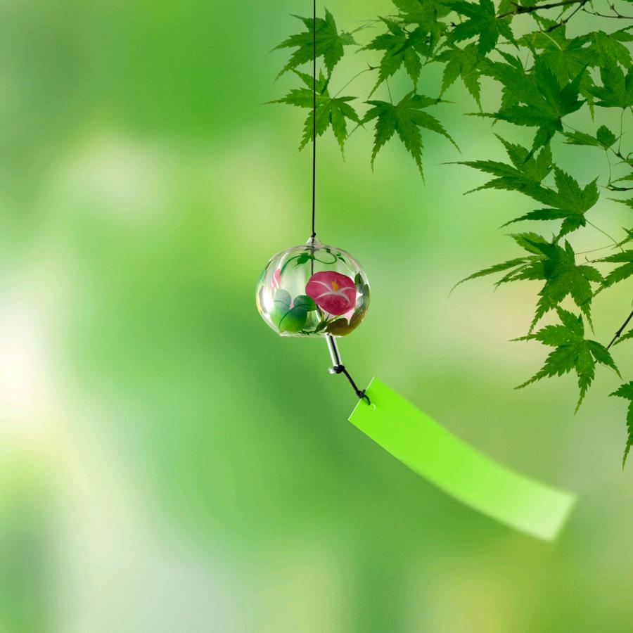 白衣天使（吴）