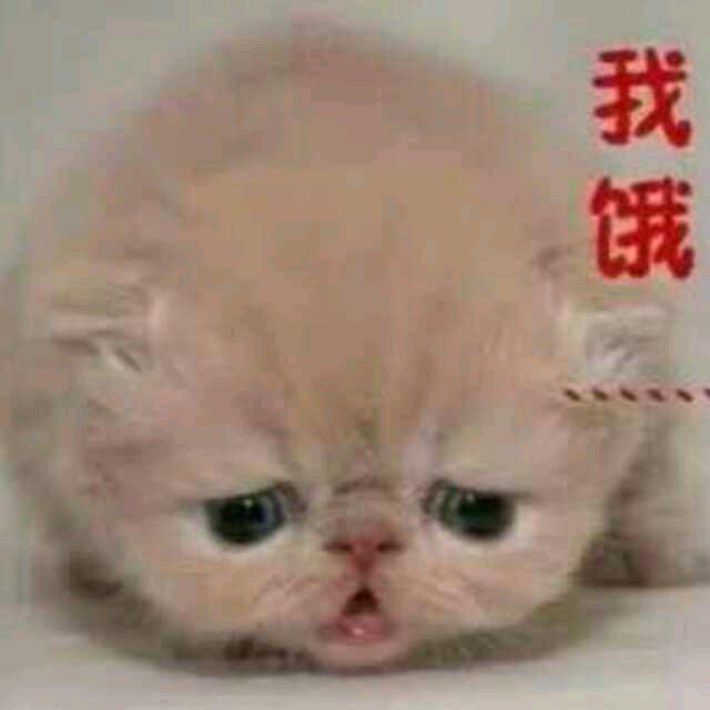 神乐