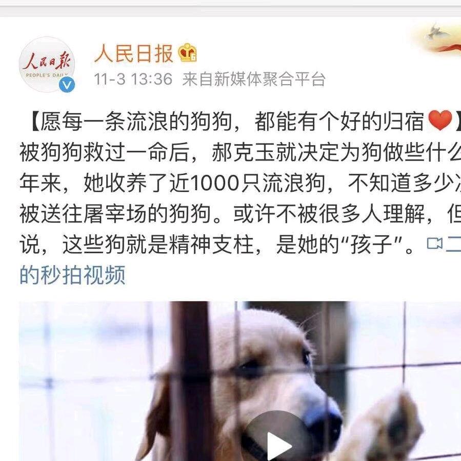 郝克玉和她的1200只狗狗