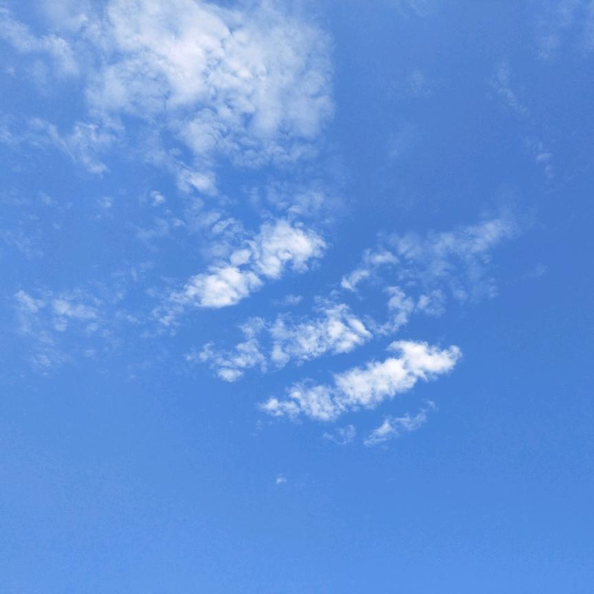 顶级侦探