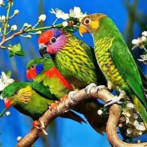 平安是福！开心每一天