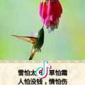 心慌