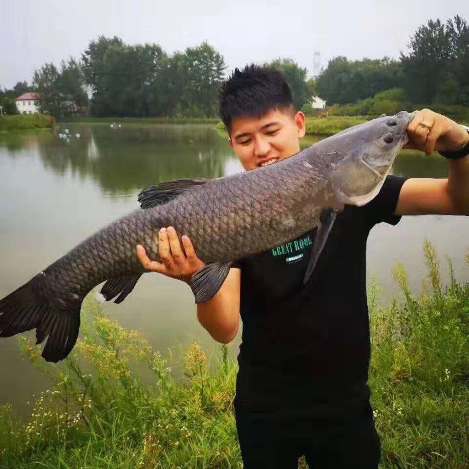 鱼哥钓鱼