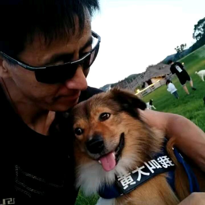 我与流浪狗的缘