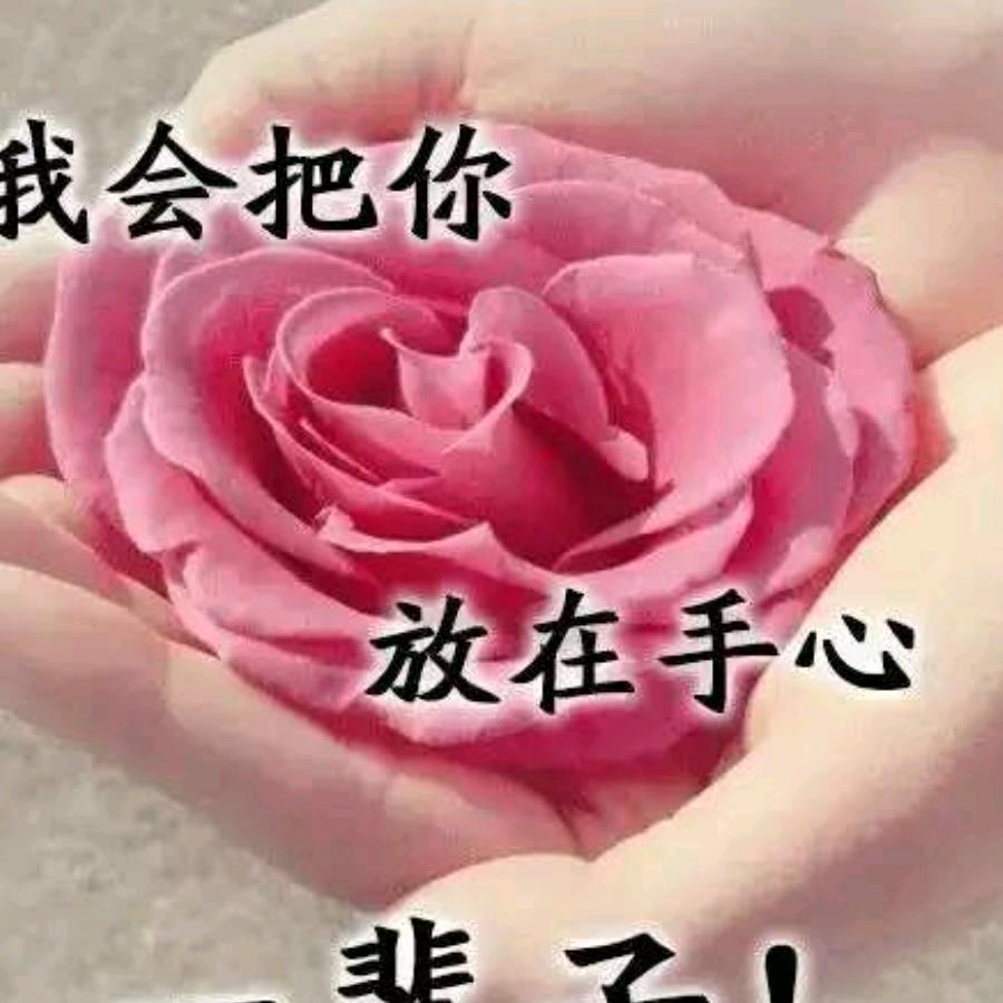荣纳白川