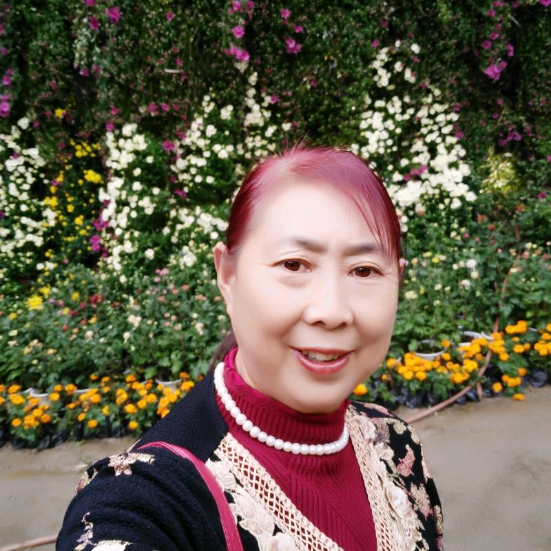 八月桂花