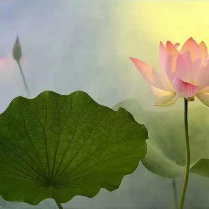 上善若水