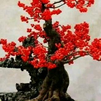 💘家和💘万事兴💘