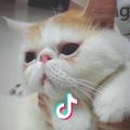 西西米陌
