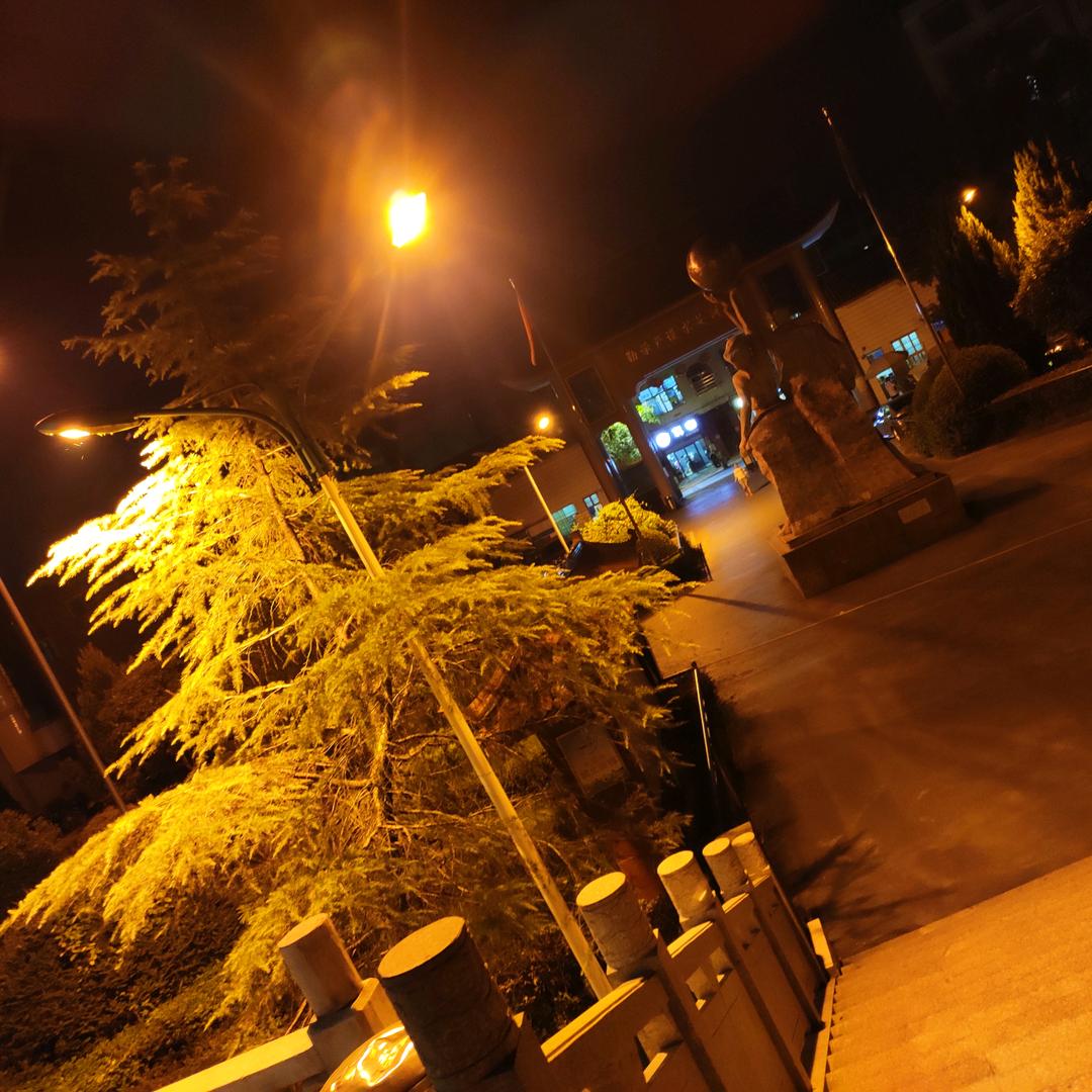 周周游游(进阶版）