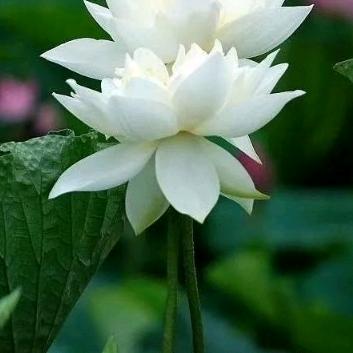 知足是福💖💖💖