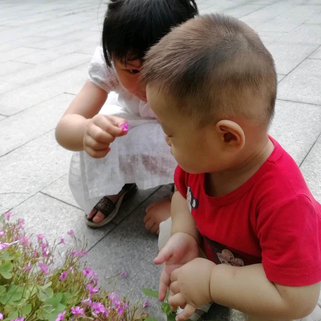 菲菲的幸福生活
