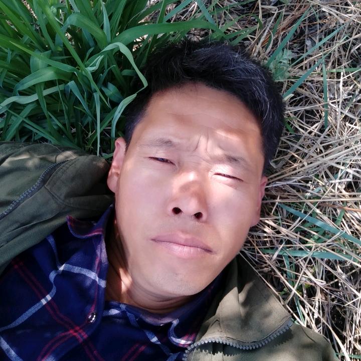 王栓保