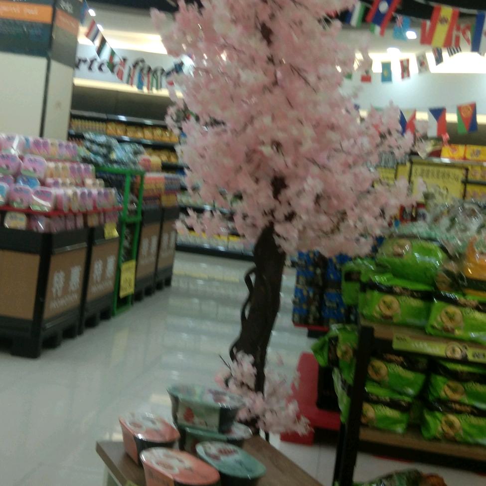 伤不起