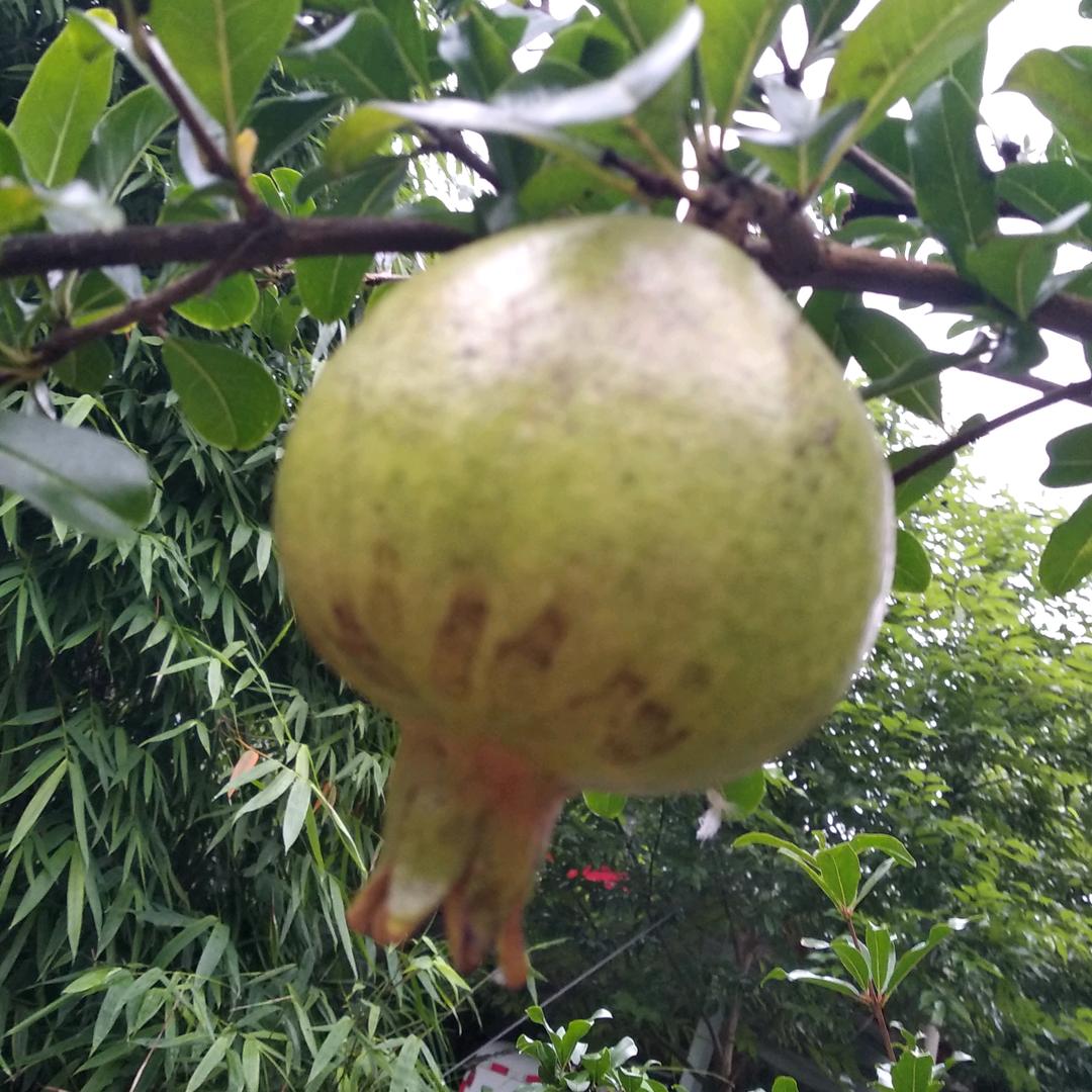 在乎你