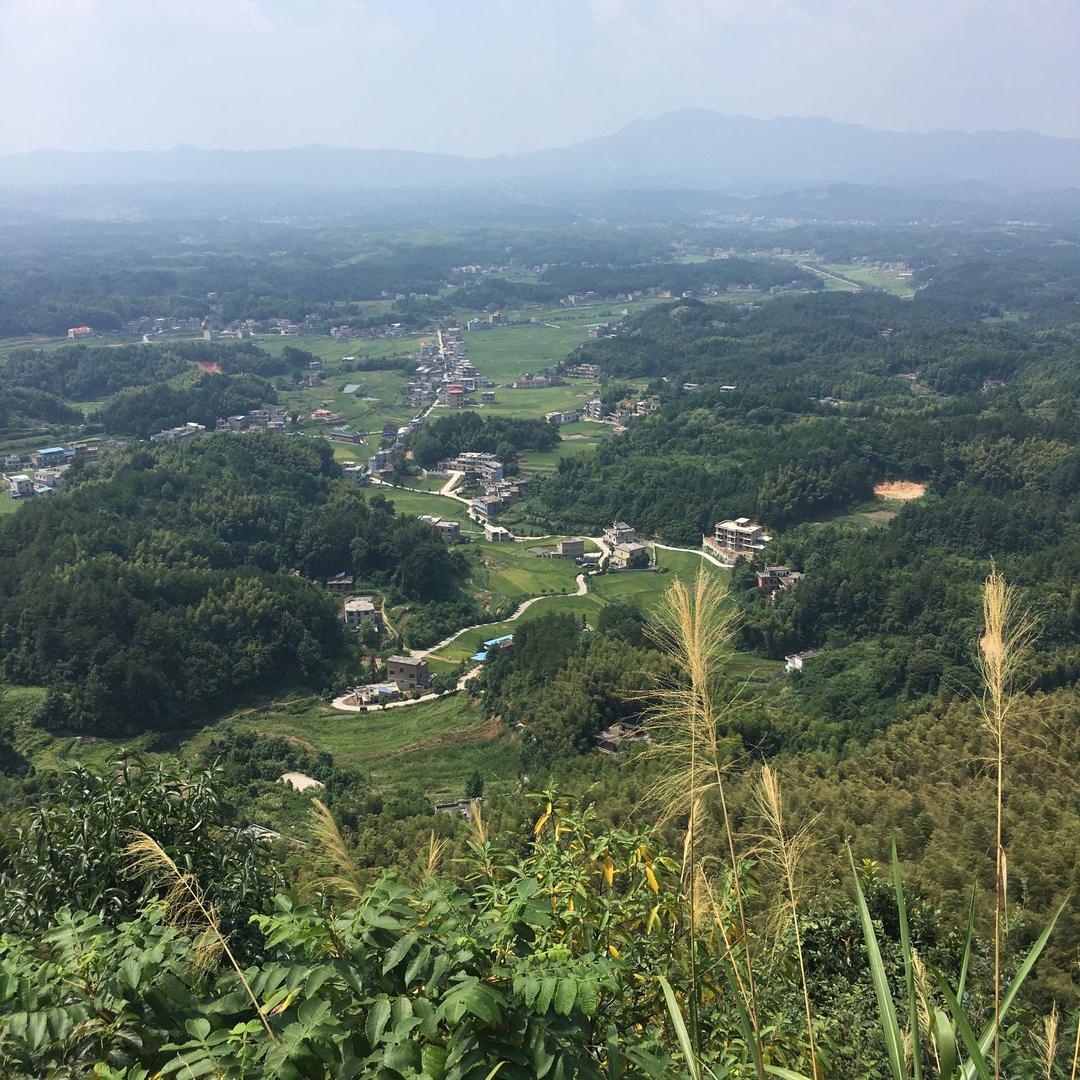 悠然自得