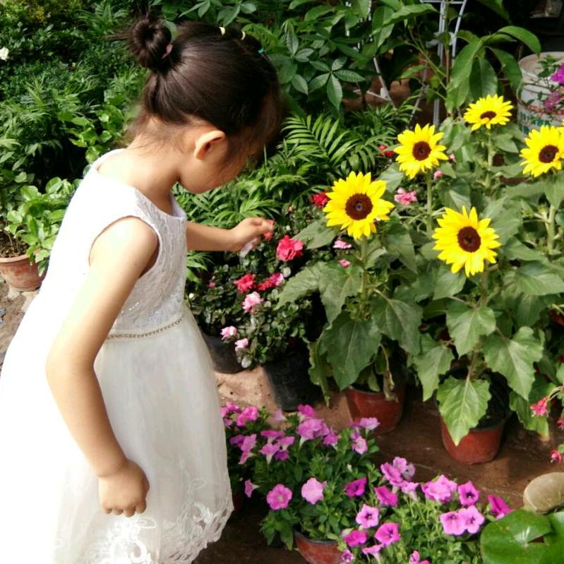 🌻浅笑