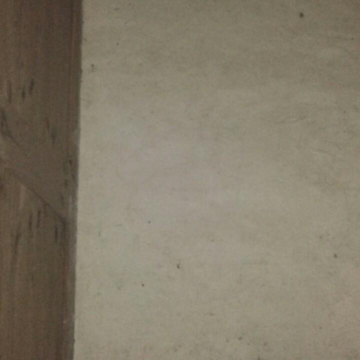 用户137994179843839529