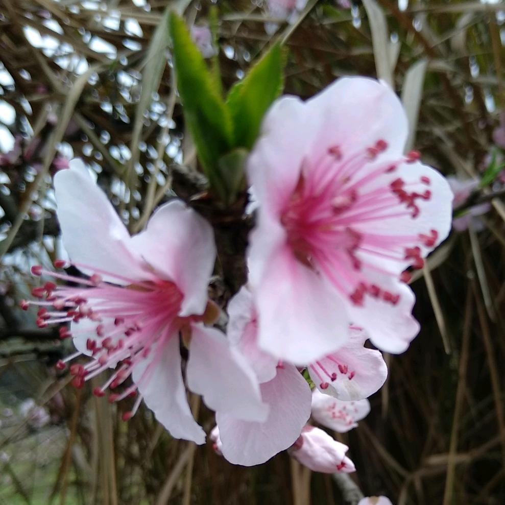 文明礼貌