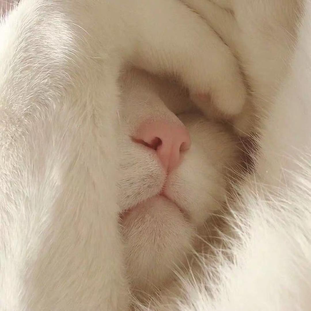 NUY