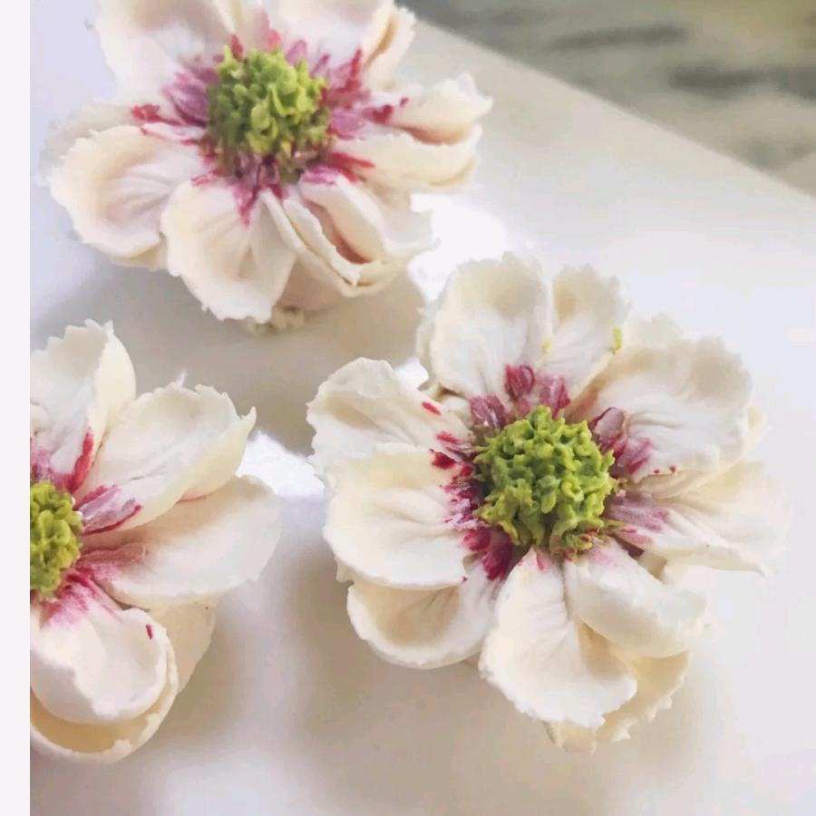 麦都蛋糕建始京桥北门一楼