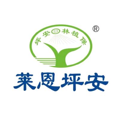 莱恩坪安