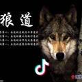 吃饱不饿