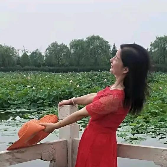 枫叶飘飘