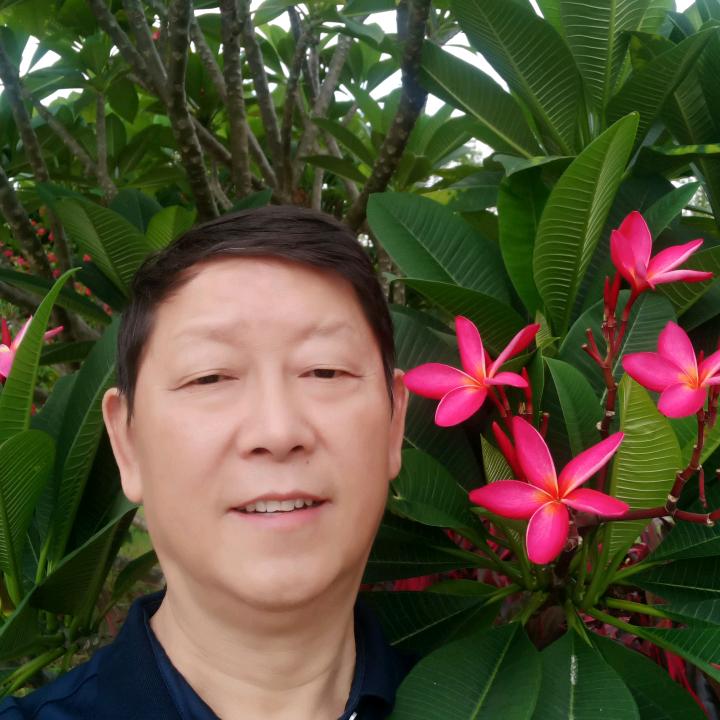 绿叶