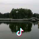 飞