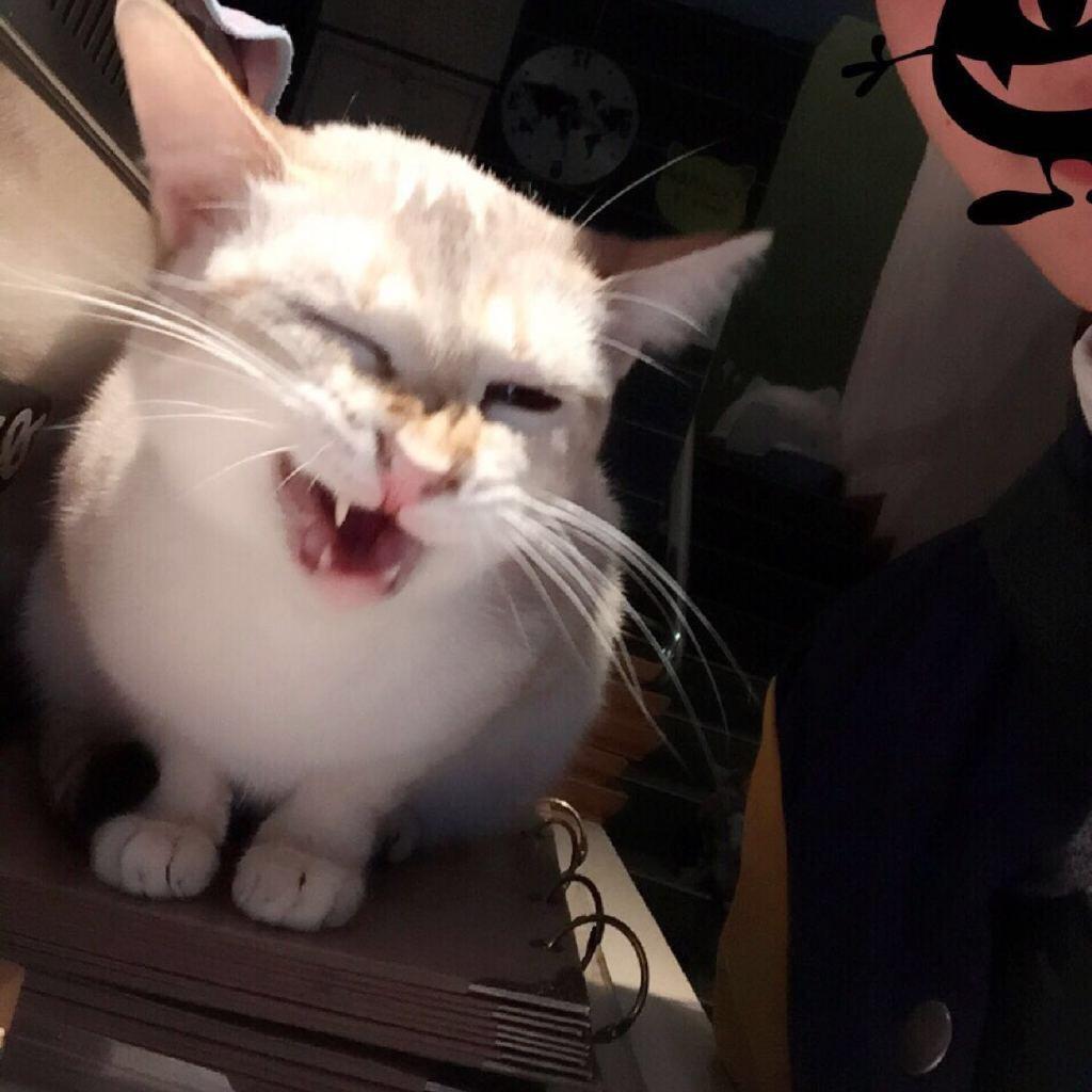 I’m.