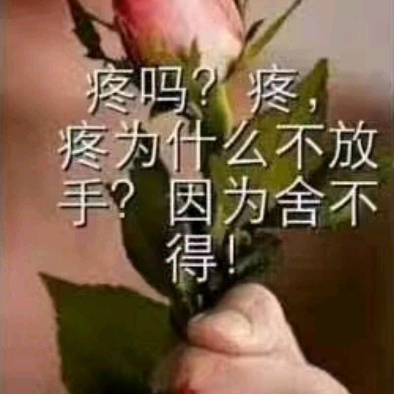 ABC14227854