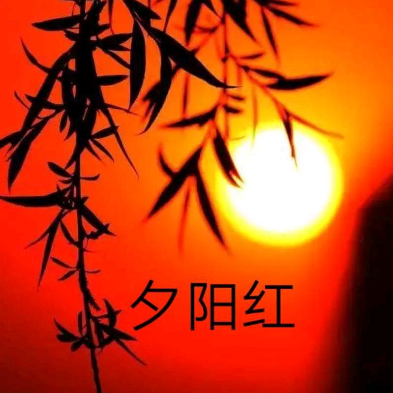 白头翁