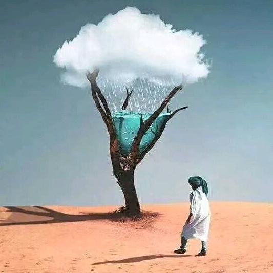 人生如柳絮随风飘