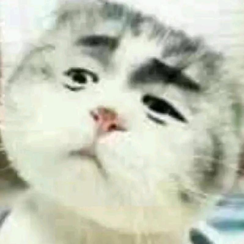 天涯共此時™