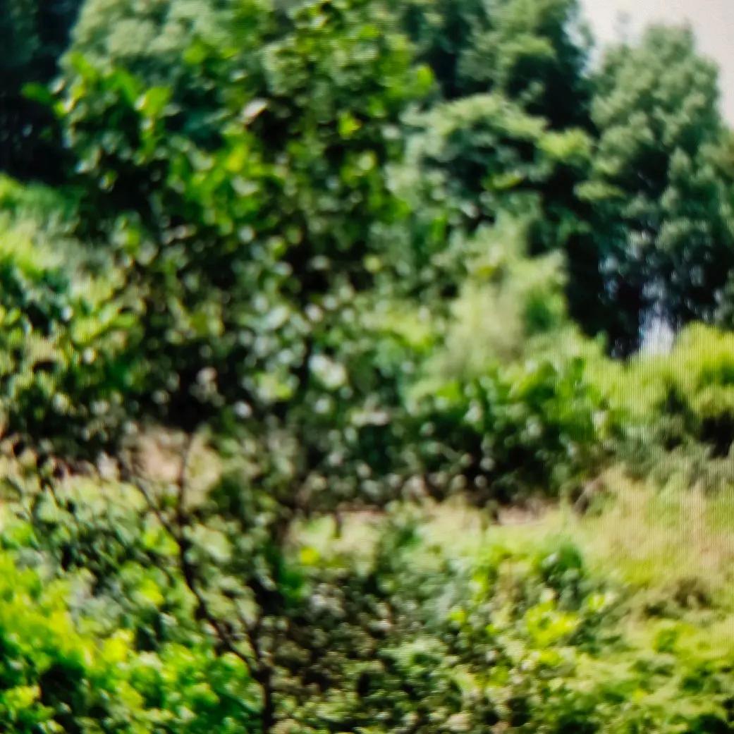 幸福的生活