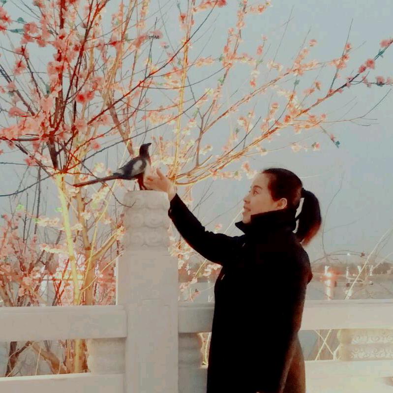 新市小天使幼儿园