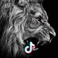 🦁️