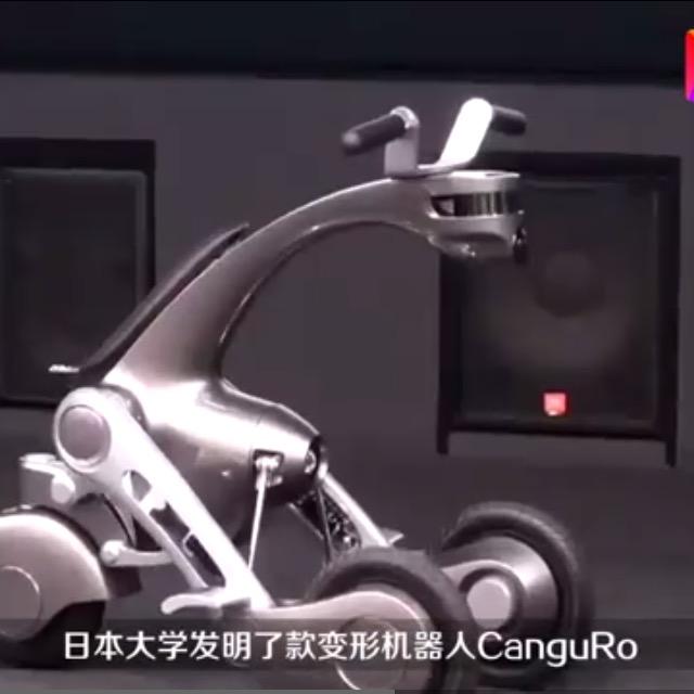 章杰2019