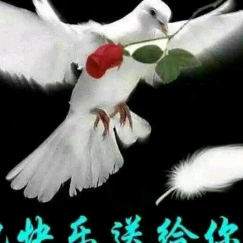 张国建，专业焊接钢筋