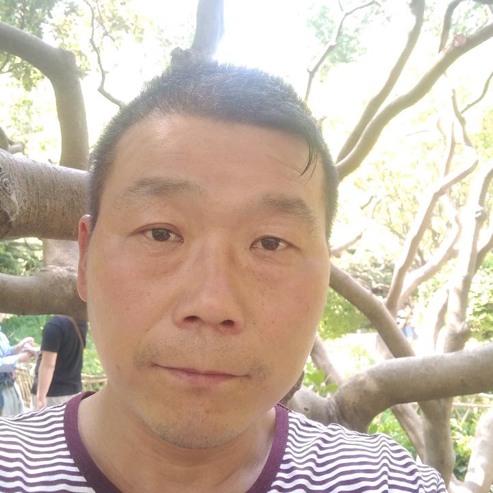 本想好
