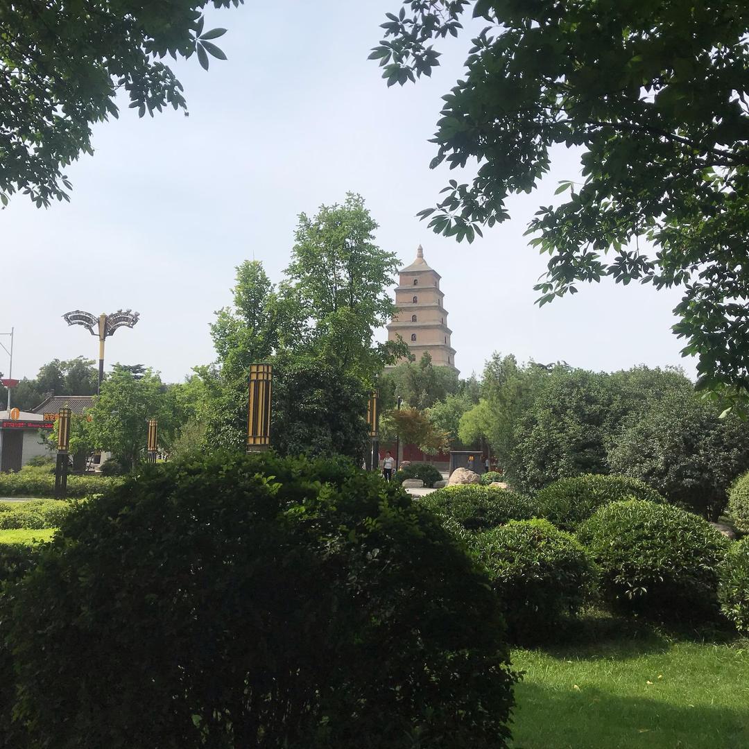追心